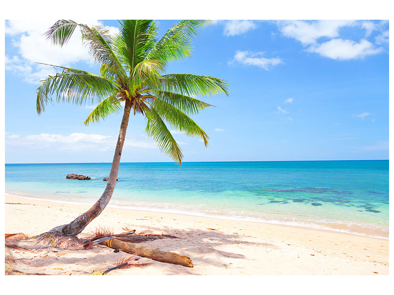5-piece-canvas-print-the-own-island