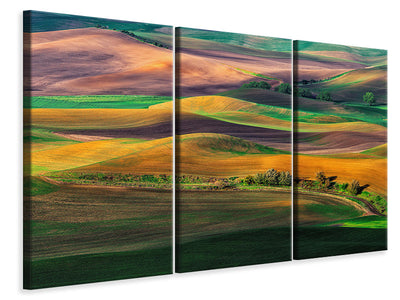 panoramic-3-piece-canvas-print-the-palouse