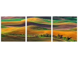 modern-4-piece-canvas-print-the-palouse