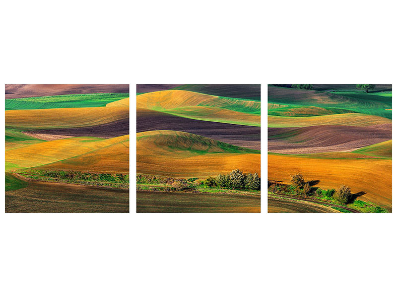 4-piece-canvas-print-the-palouse