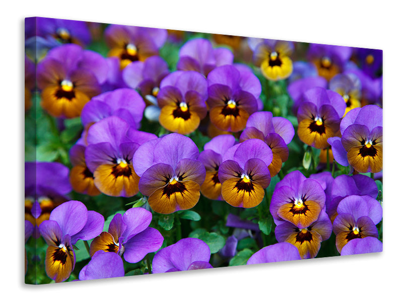 modern-4-piece-canvas-print-the-pansies