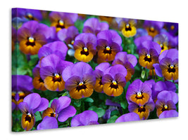 4-piece-canvas-print-the-pansies