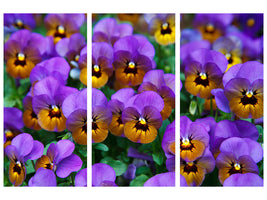 modern-3-piece-canvas-print-the-pansies