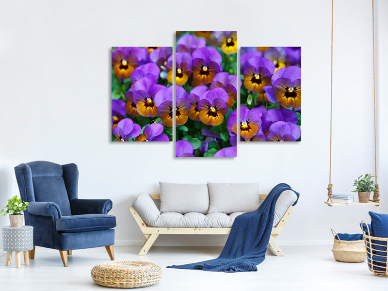 canvas-print-the-pansies