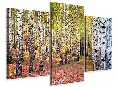 panoramic-3-piece-canvas-print-the-path-between-birches