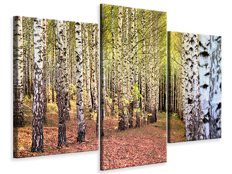 modern-4-piece-canvas-print-the-path-between-birches