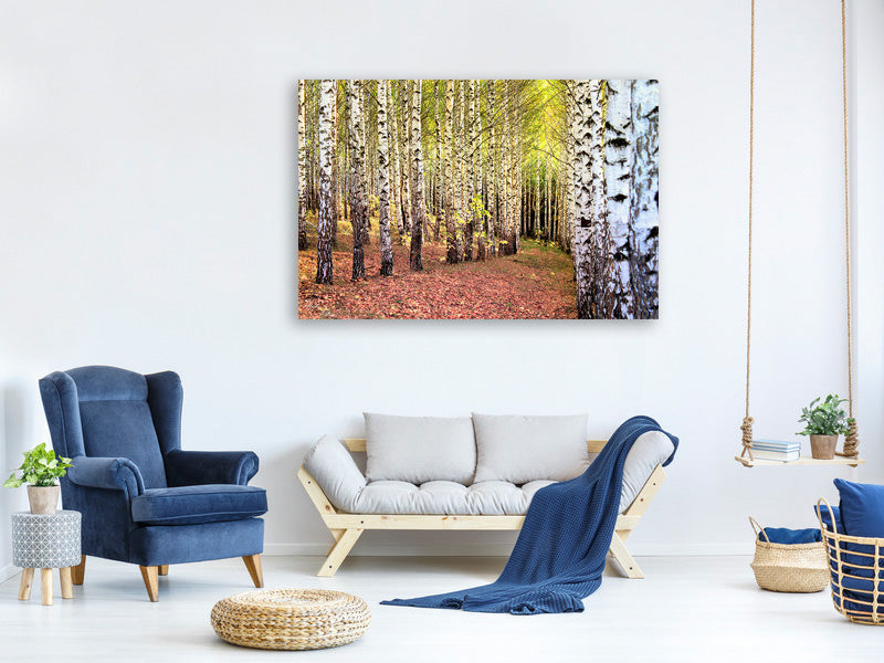 modern-3-piece-canvas-print-the-path-between-birches