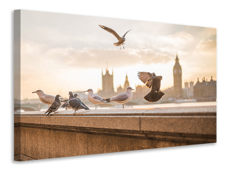 3-piece-canvas-print-the-pigeons-on-the-roof