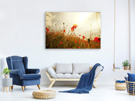 modern-4-piece-canvas-print-the-poppy-field-at-sunrise