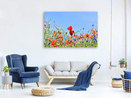 3-piece-canvas-print-the-poppy-in-the-flower-meadow