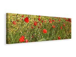 canvas-print-the-poppy-in-the-wind