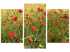 5-piece-canvas-print-the-poppy-in-the-wind