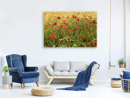4-piece-canvas-print-the-poppy-in-the-wind