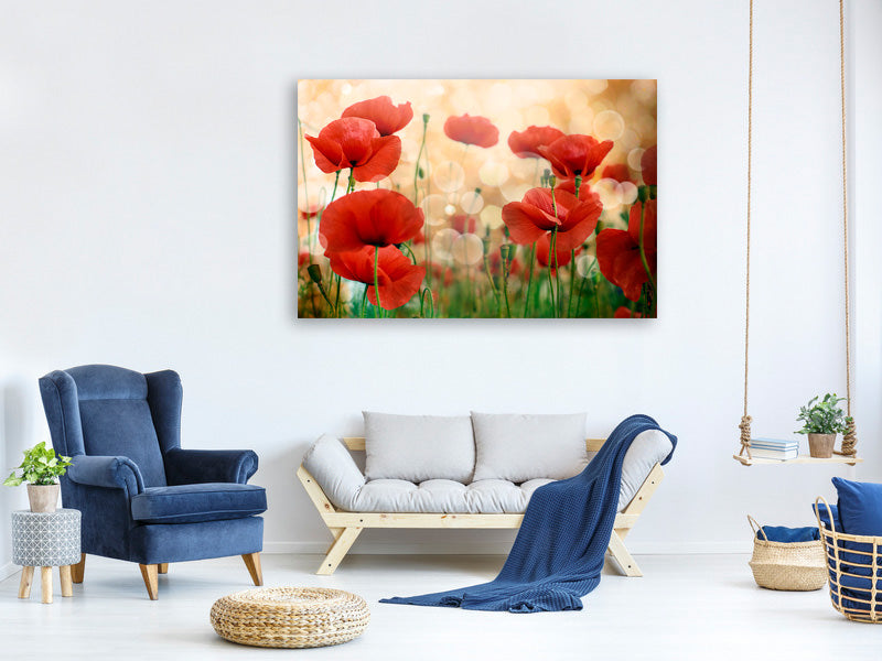 4-piece-canvas-print-the-poppy
