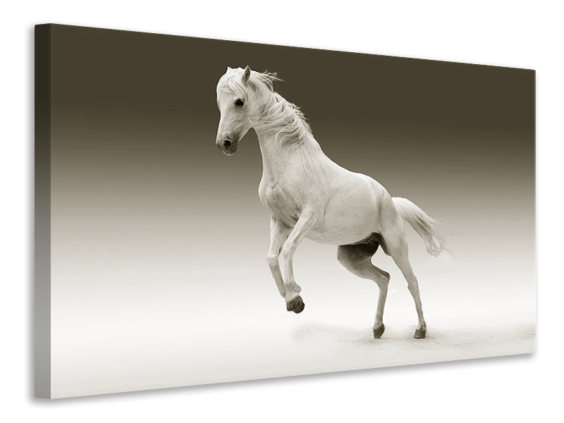 3-piece-canvas-print-the-proud-mare
