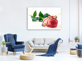 5-piece-canvas-print-the-proud-rose