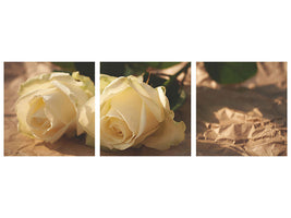 4-piece-canvas-print-the-purity-of-the-roses