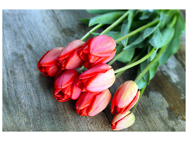 modern-4-piece-canvas-print-the-red-tulip-bouquet
