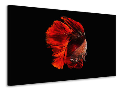 5-piece-canvas-print-the-red
