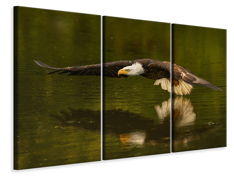 panoramic-3-piece-canvas-print-the-reflective-pond