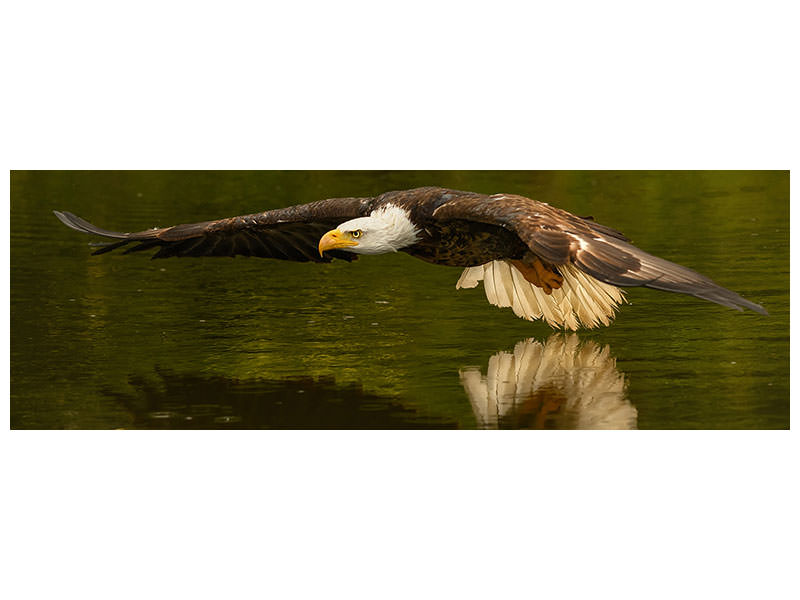 modern-4-piece-canvas-print-the-reflective-pond