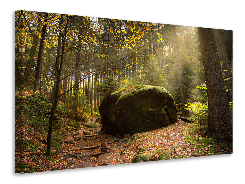 modern-4-piece-canvas-print-the-rock-in-the-forest