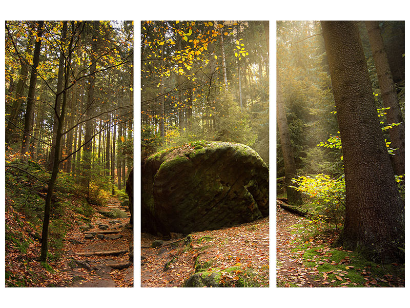 5-piece-canvas-print-the-rock-in-the-forest