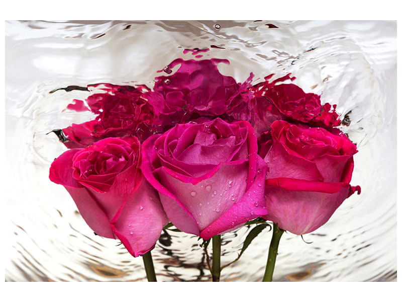 modern-4-piece-canvas-print-the-rose-reflection