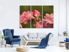 canvas-print-the-rosebud