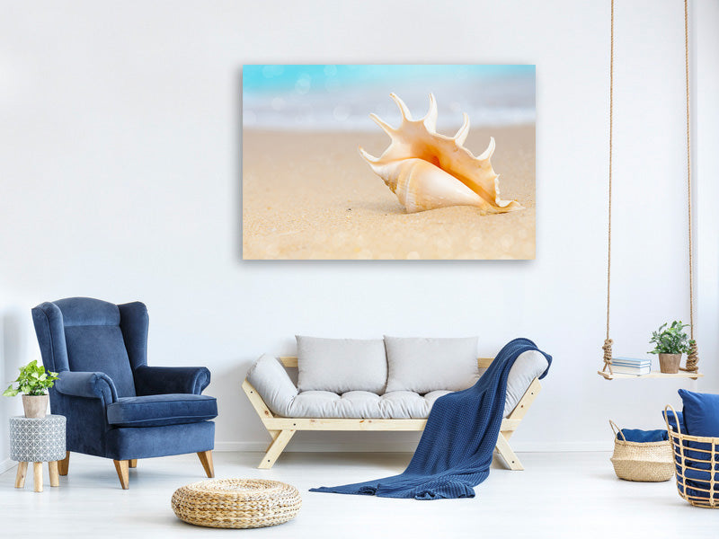 4-piece-canvas-print-the-shell-on-the-beach