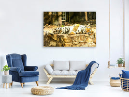 panoramic-3-piece-canvas-print-the-siberian-tiger