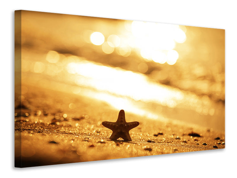 4-piece-canvas-print-the-starfish