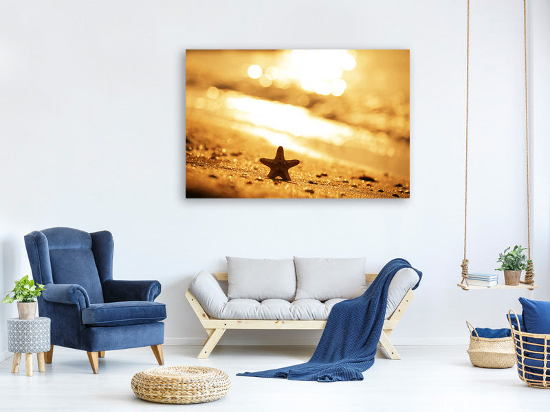 5-piece-canvas-print-the-starfish