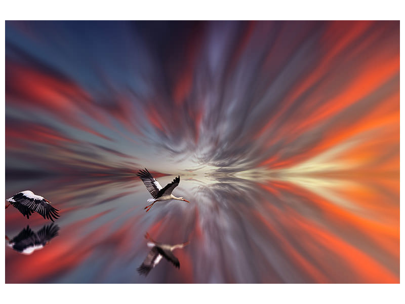 3-piece-canvas-print-the-storks