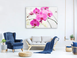 modern-4-piece-canvas-print-the-symbol-of-orchid