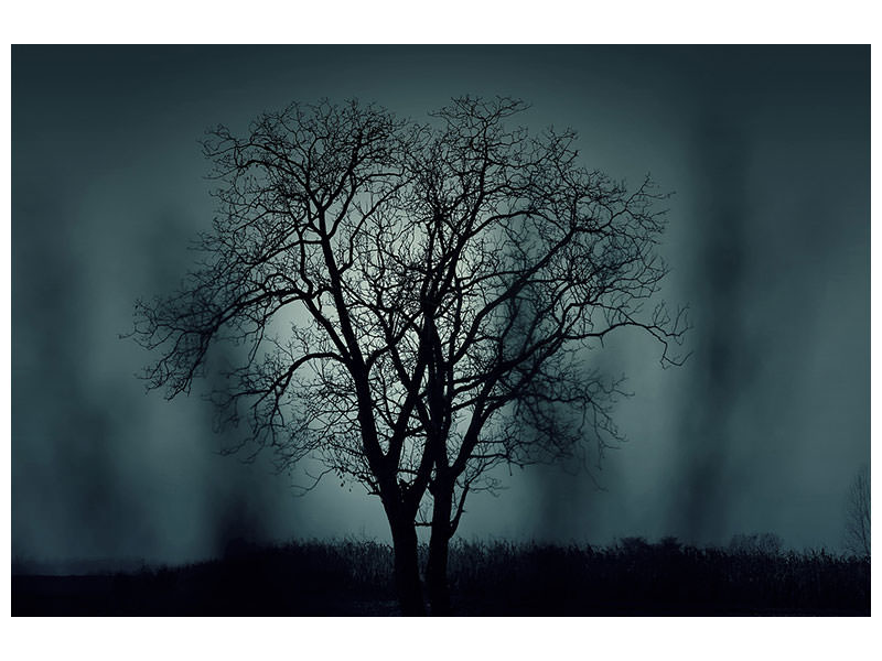 4-piece-canvas-print-the-tree-in-darkness