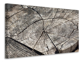 3-piece-canvas-print-the-tree-rings