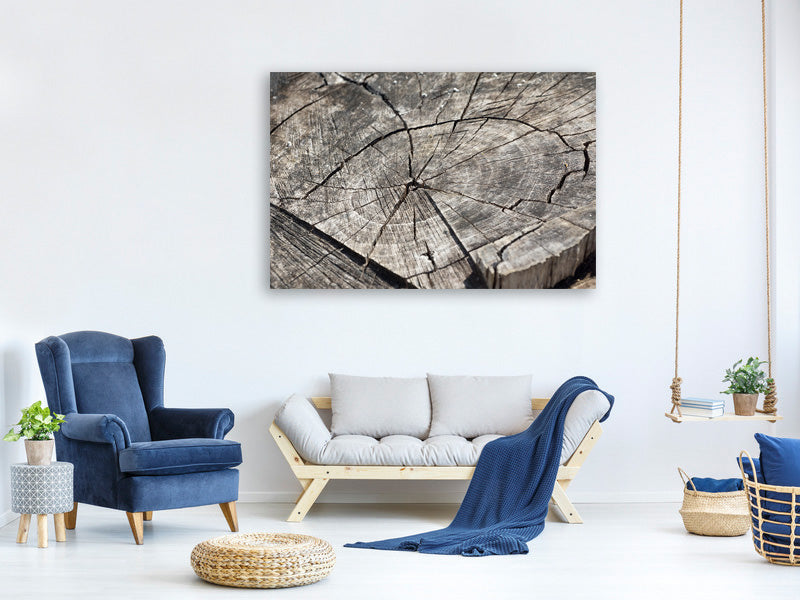 3-piece-canvas-print-the-tree-rings