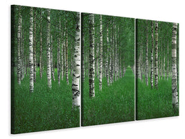 panoramic-3-piece-canvas-print-the-tunnel