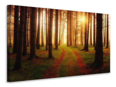 5-piece-canvas-print-the-unknown-way