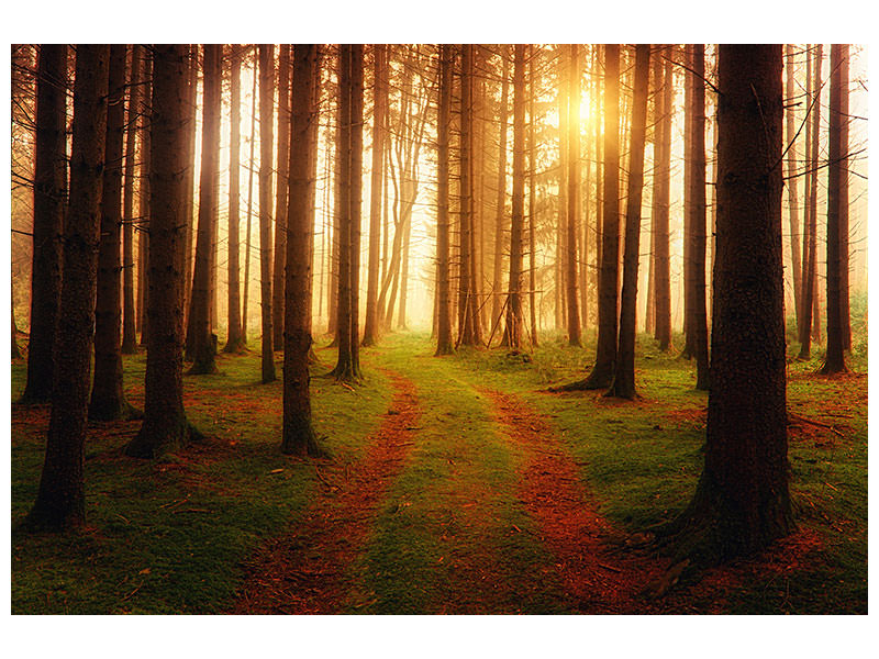 5-piece-canvas-print-the-unknown-way
