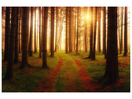 modern-4-piece-canvas-print-the-unknown-way