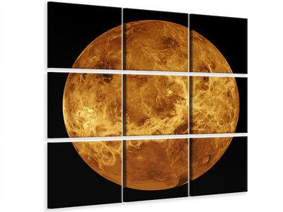 canvas-print-the-venus