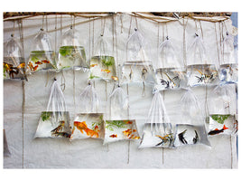 5-piece-canvas-print-the-wall-of-fish