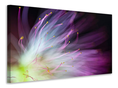 modern-3-piece-canvas-print-the-will-o-the-wisp