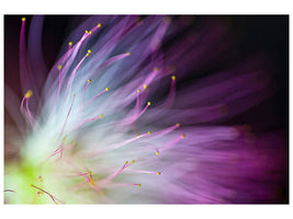 panoramic-3-piece-canvas-print-the-will-o-the-wisp