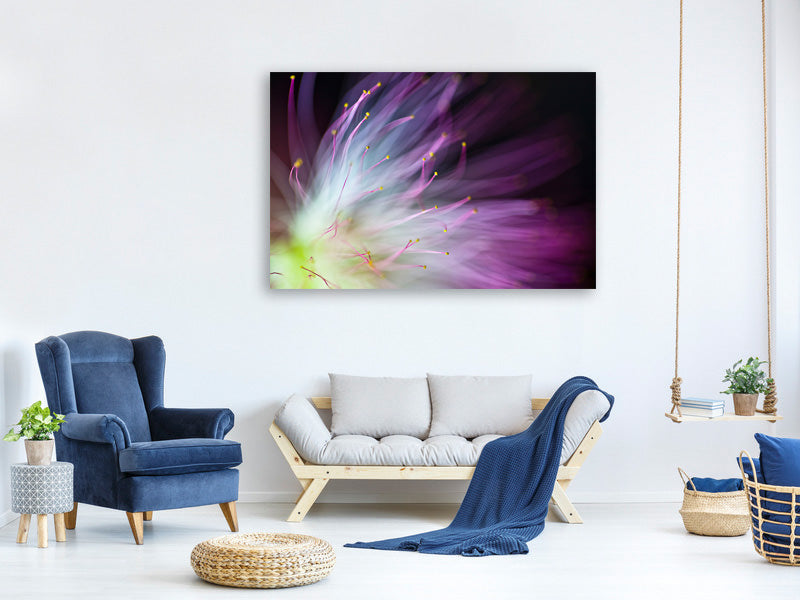 panoramic-canvas-print-the-will-o-the-wisp