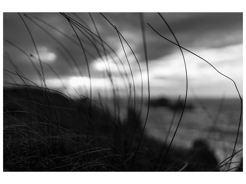 panoramic-canvas-print-the-wind-brings-the-night