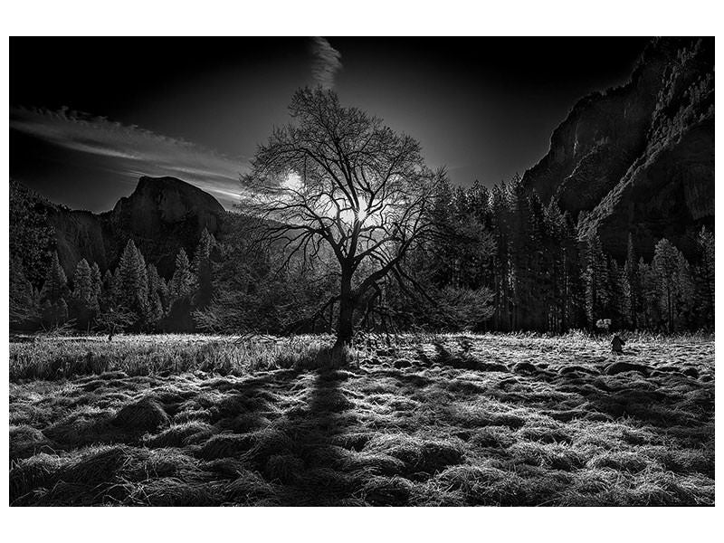 4-piece-canvas-print-the-winter-spirit