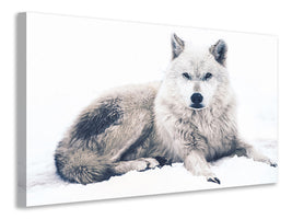 3-piece-canvas-print-the-wolf